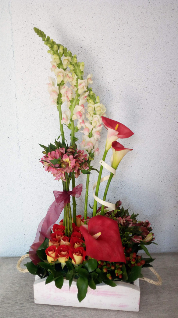 IMG-20191003-WA0014
